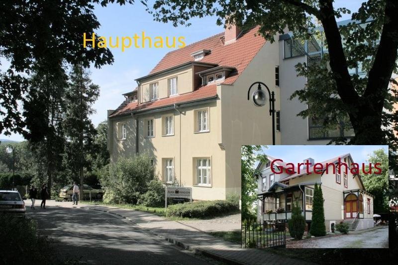 Aura Pension "Brockenblick" Wernigerode Buitenkant foto